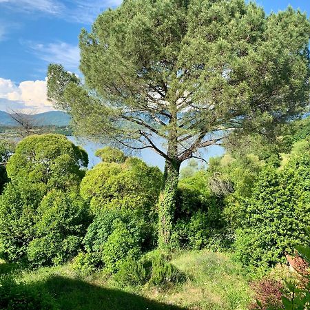 Villa Del Lago Барберино ди Мугело Екстериор снимка